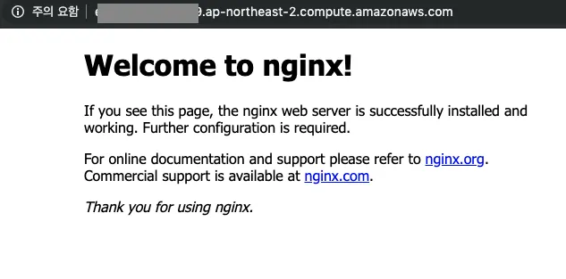 nginx